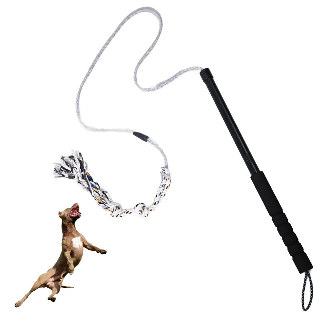 Chaselure flirt pole held at arm length, cotton rope lure trailing across grass