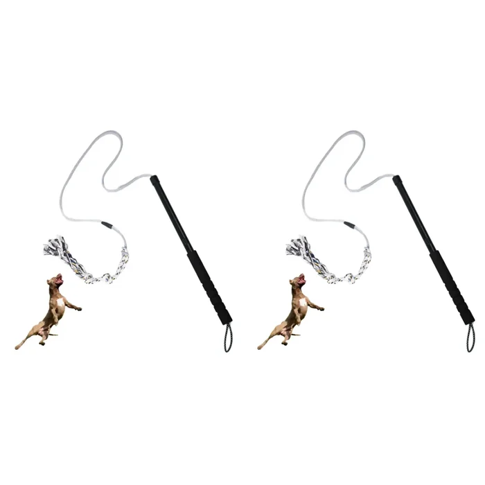 2-Pack — Two poles — one per dog, or a spare